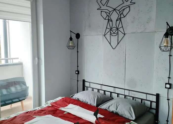 公寓 Pszczelna Loft *