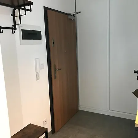 公寓 Pszczelna Loft *