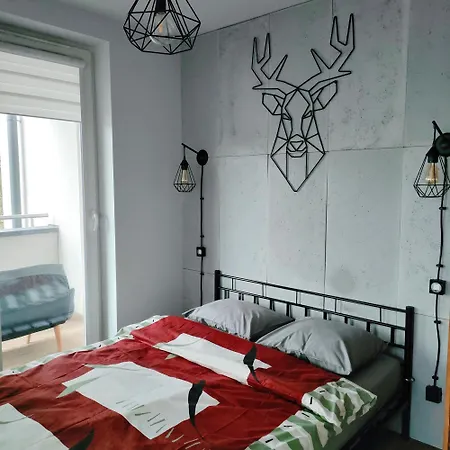 公寓 Pszczelna Loft *