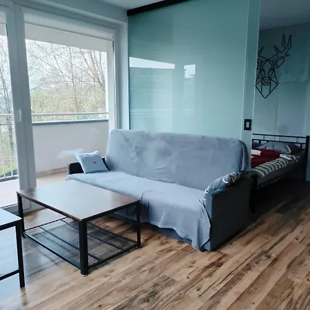 Pszczelna Loft 公寓 克拉科夫