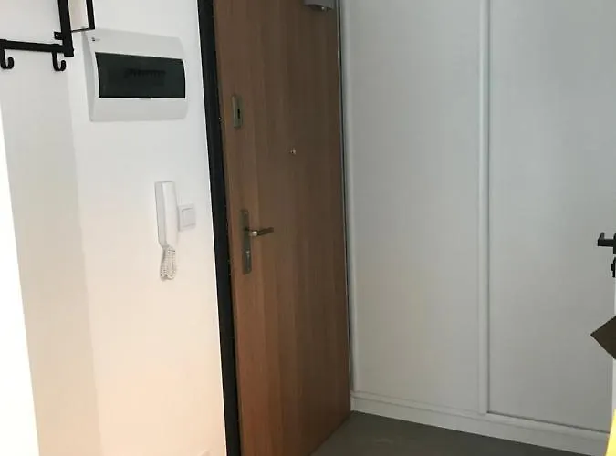 Apartment Pszczelna Loft *